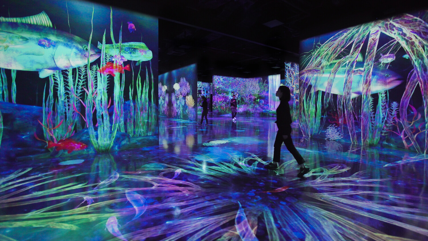 teamLab, Catching and Collecting Forest © teamLab