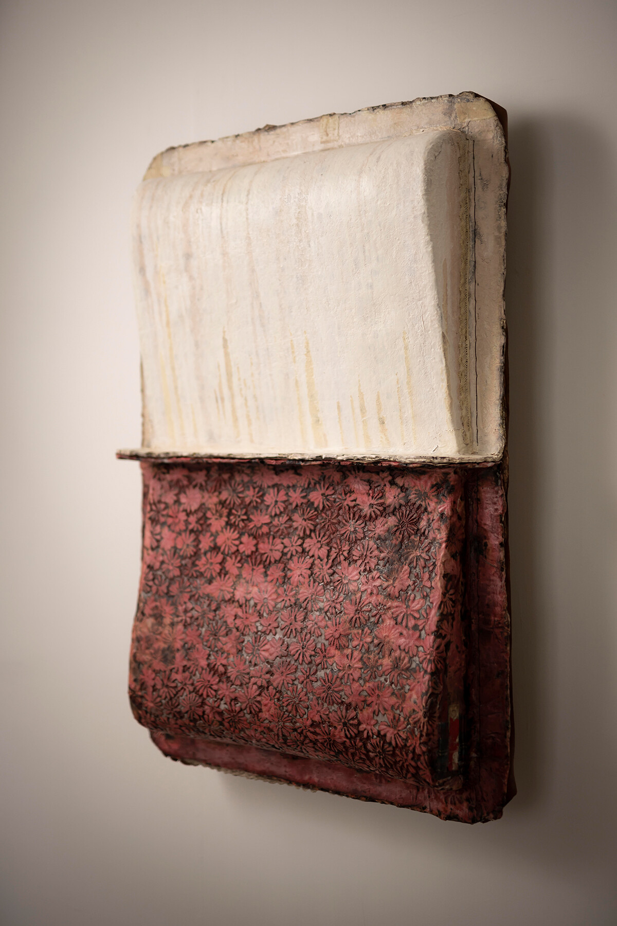 中川佳宣展 views of seeds, eyes of farmers | お知らせ | 大阪芸術大学