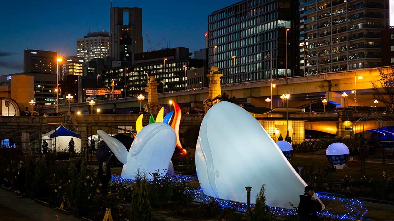 夜の中之島に巨大クジラが泳ぐ Osaka光のルネサンス Topics 大阪芸術大学